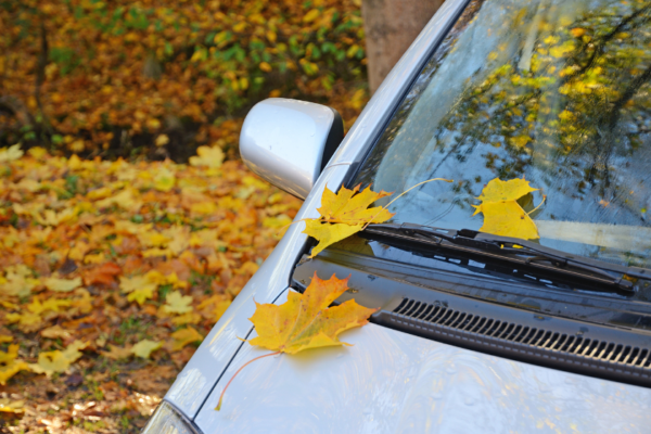 Почистване на колата през есента