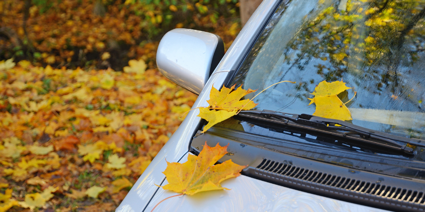 Почистване на колата през есента